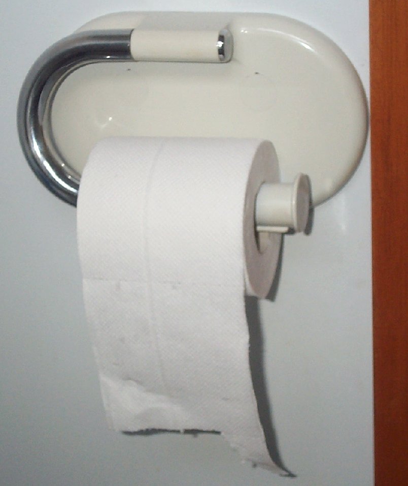 Toilet paper03.jpg